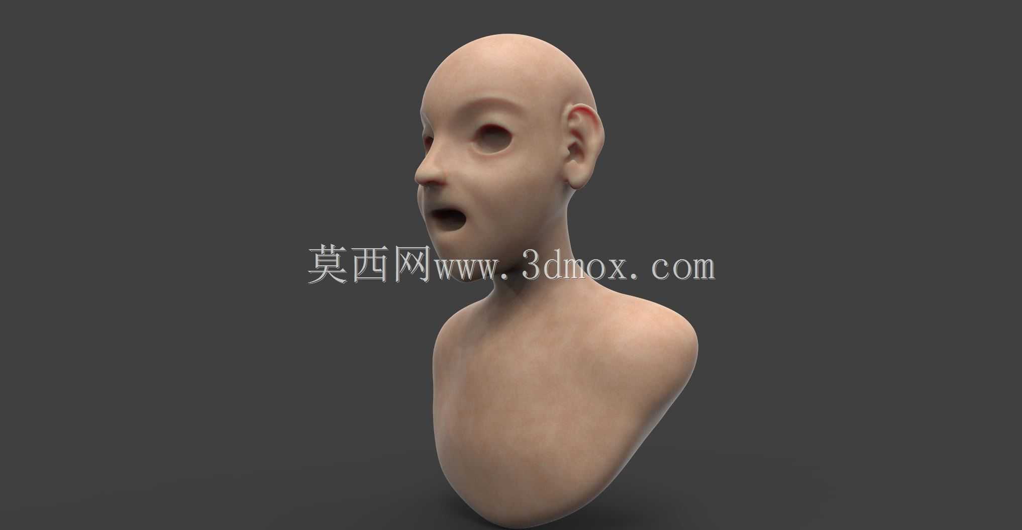 香椿女胸