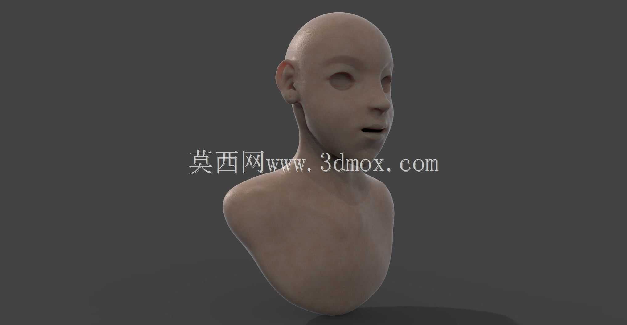 香椿女胸