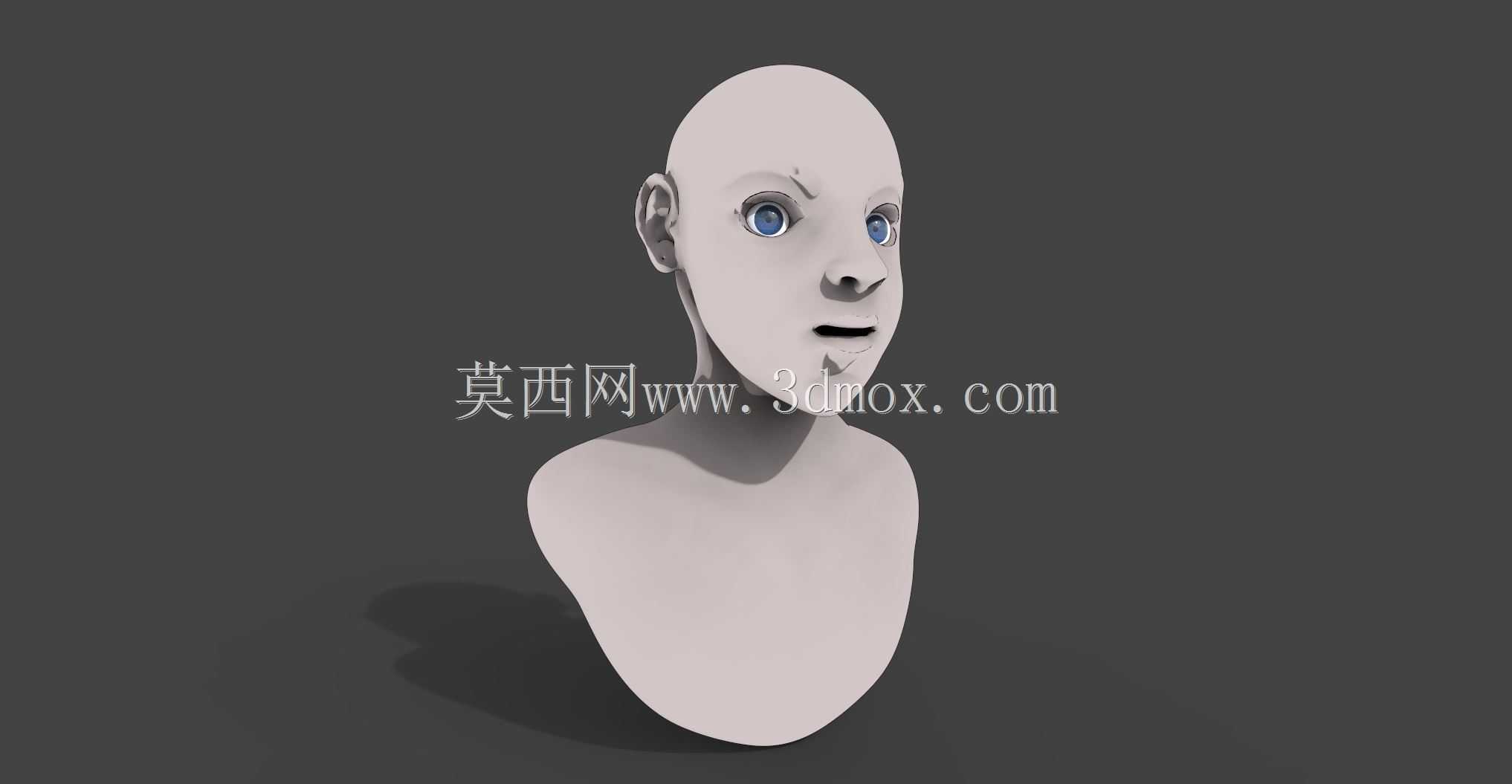 香椿女胸