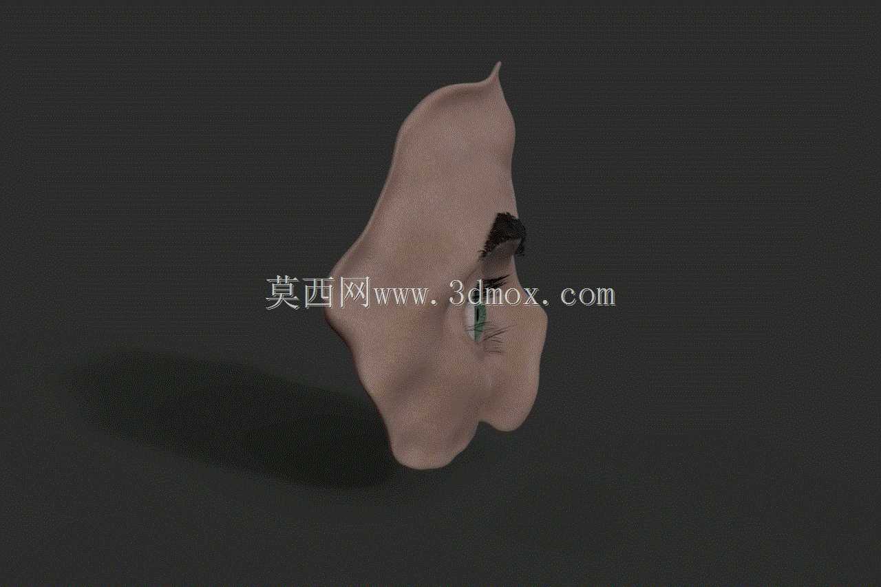 人眼