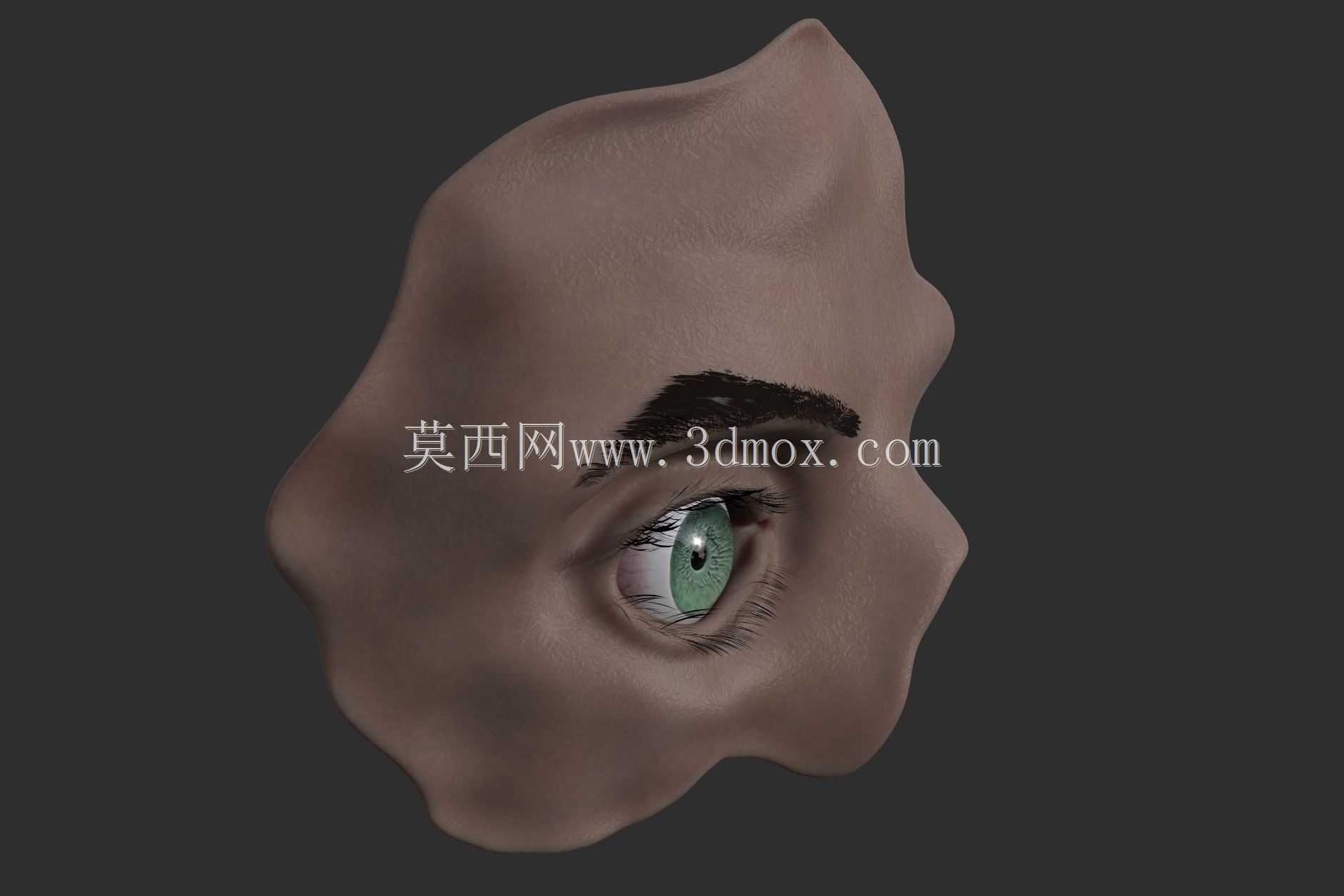 人眼