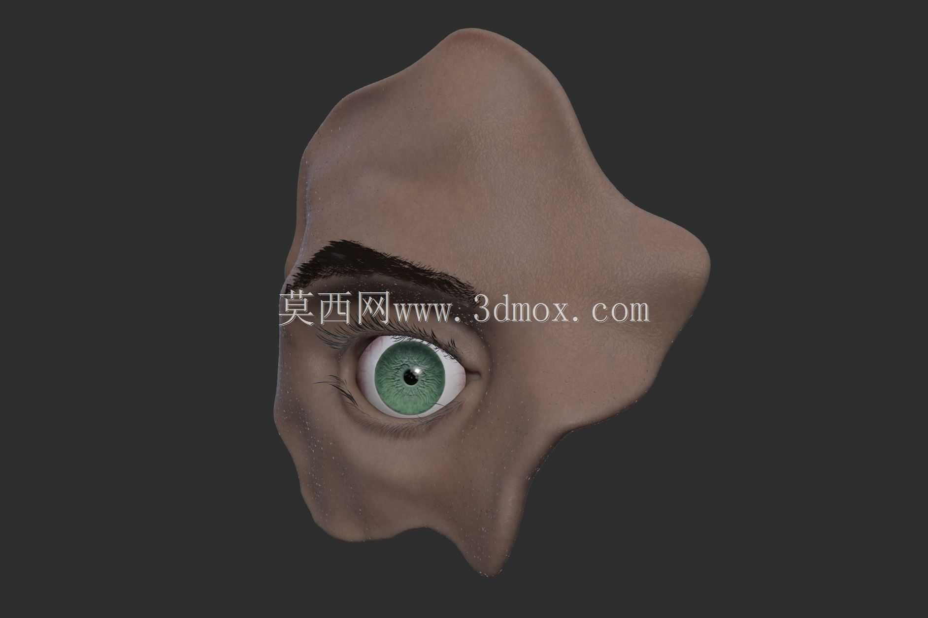 人眼