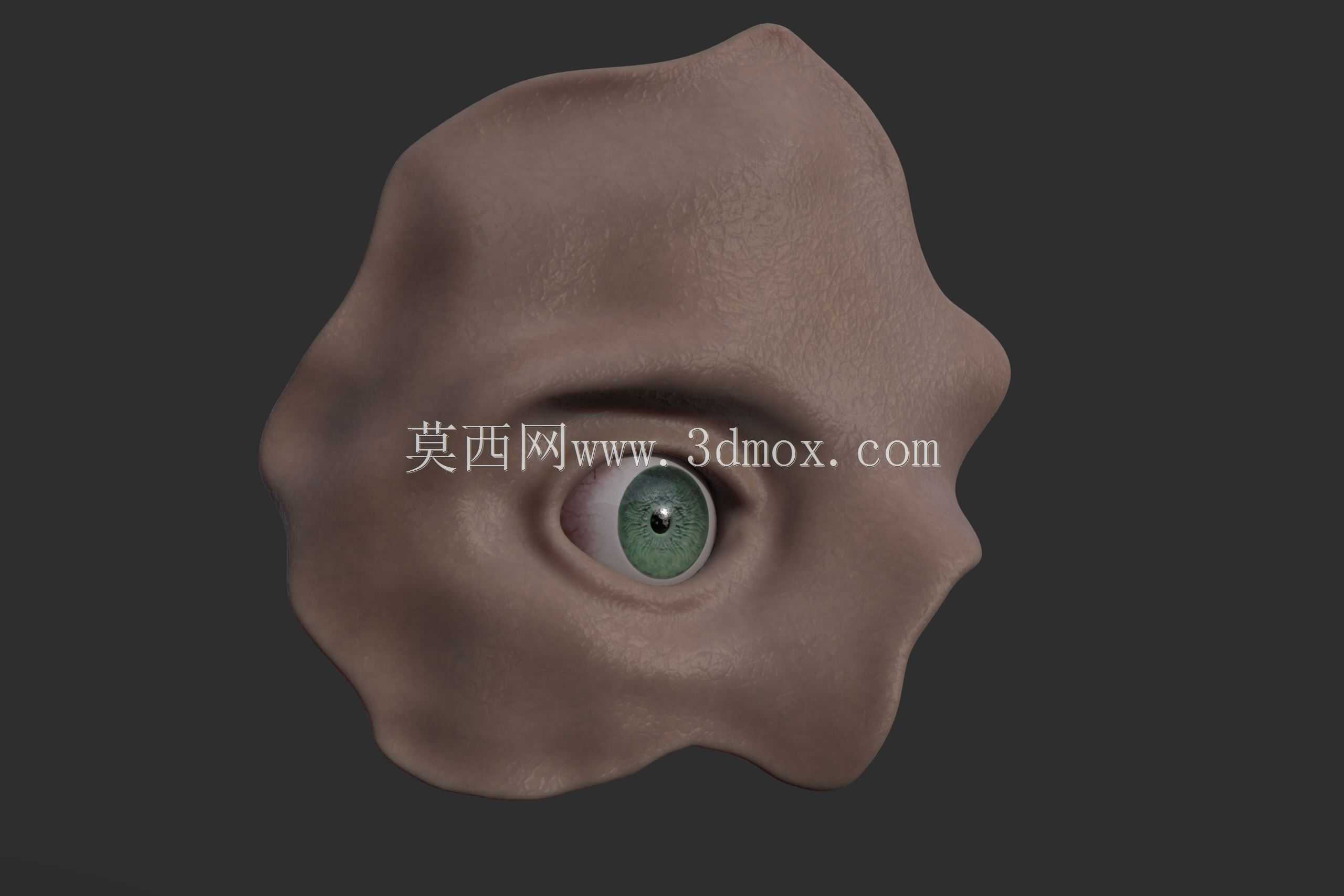 人眼