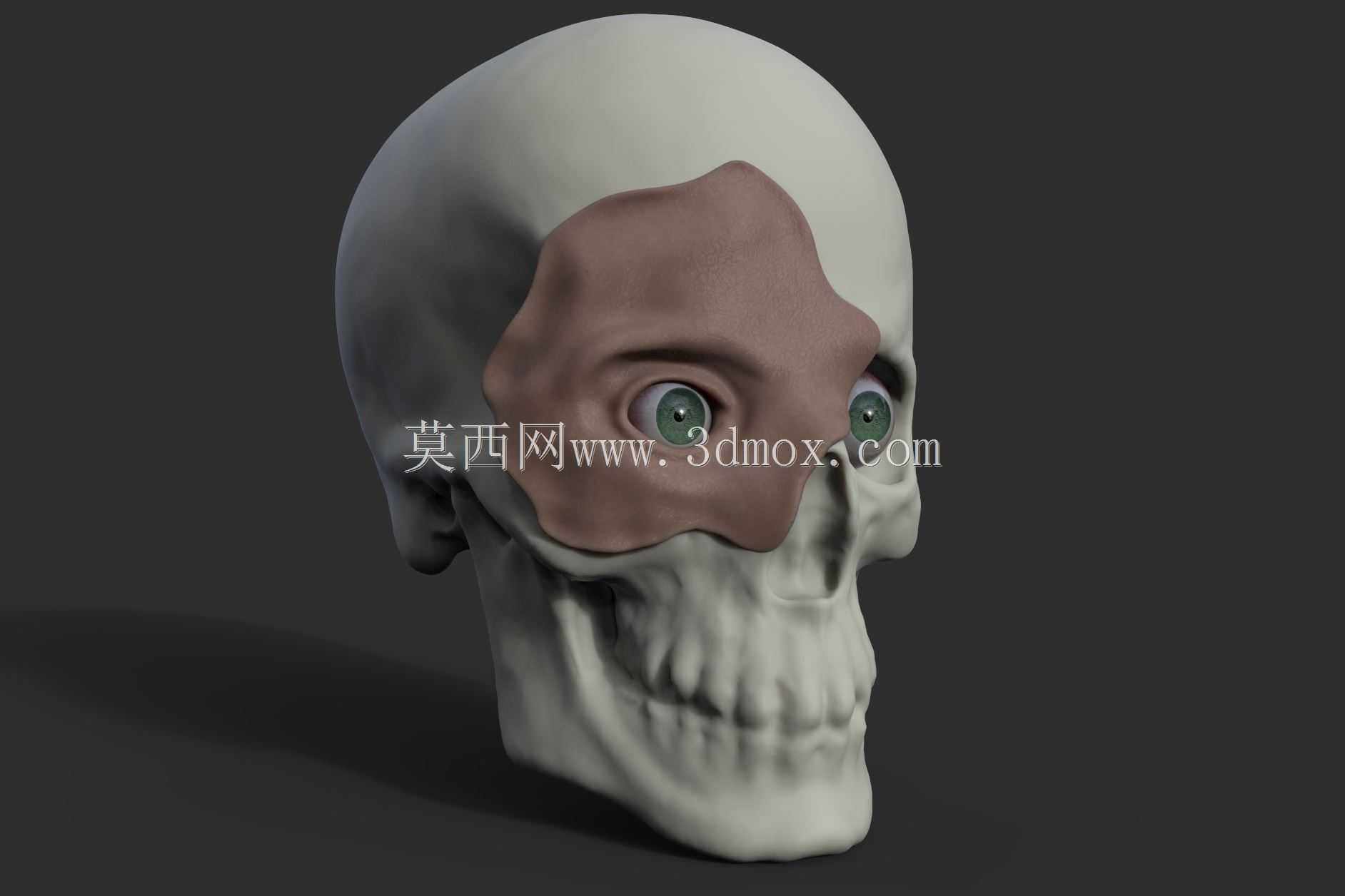 人眼