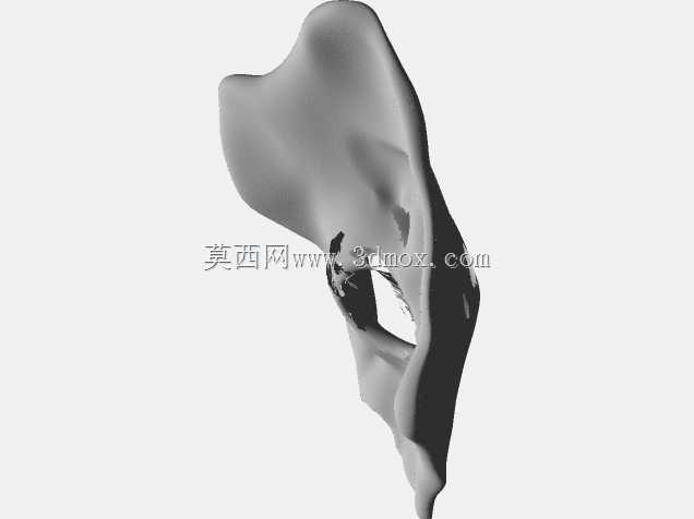 人眼