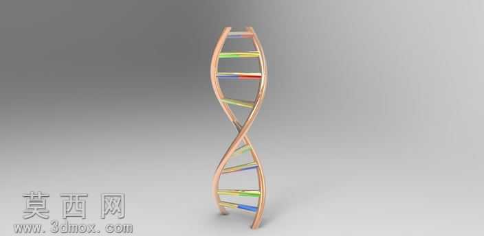 DNA��
