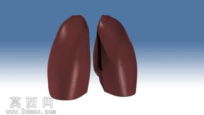 Lungs.ics
