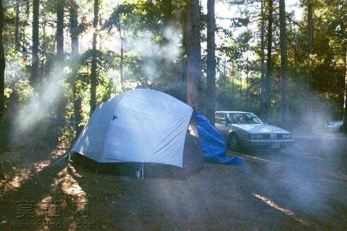 ��ľ�ۣ�˹���ػ�Ұ15'��1982
