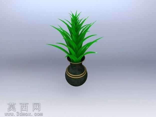 Floower
