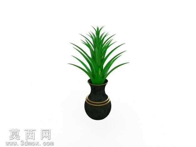 Floower
