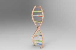 DNA��