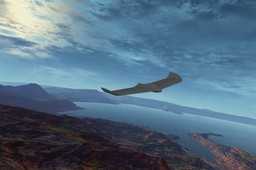 Onewing