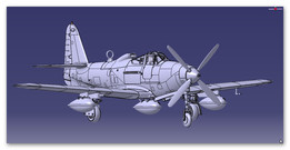 P 63 C
