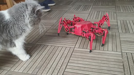 ���ǻ�����V1���޼�ũ�ڣ�