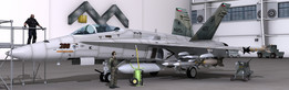 F-18 CD�����ȼ�