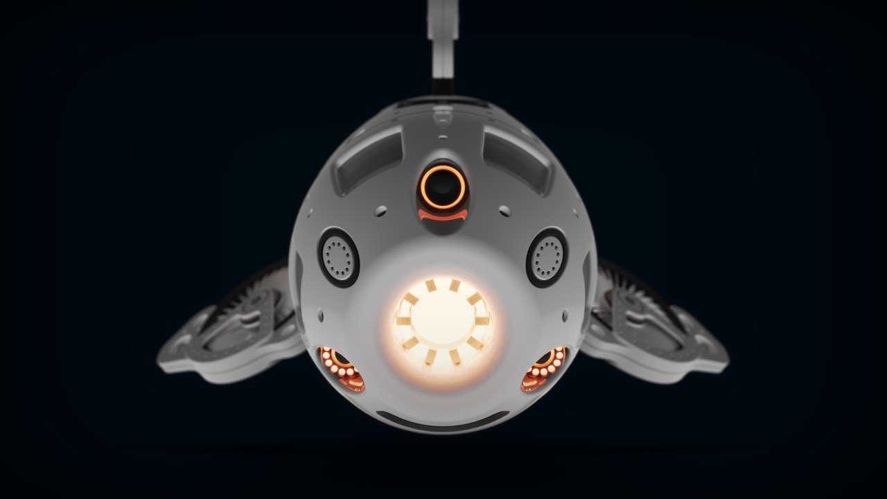 ����¬