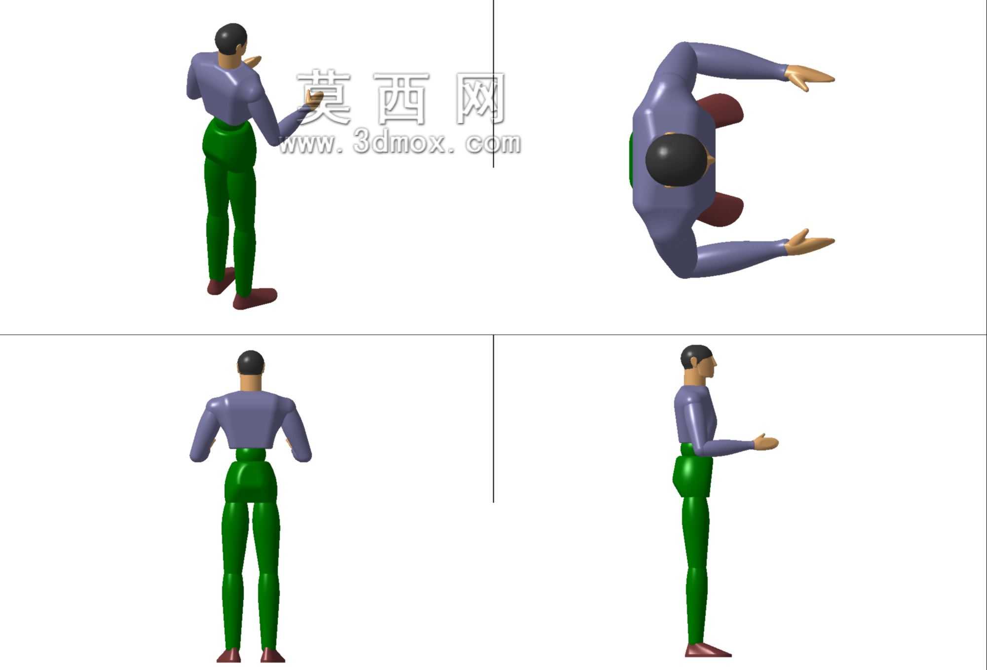 人类