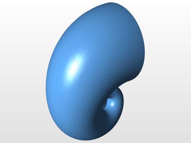 Nauthillus������������-02