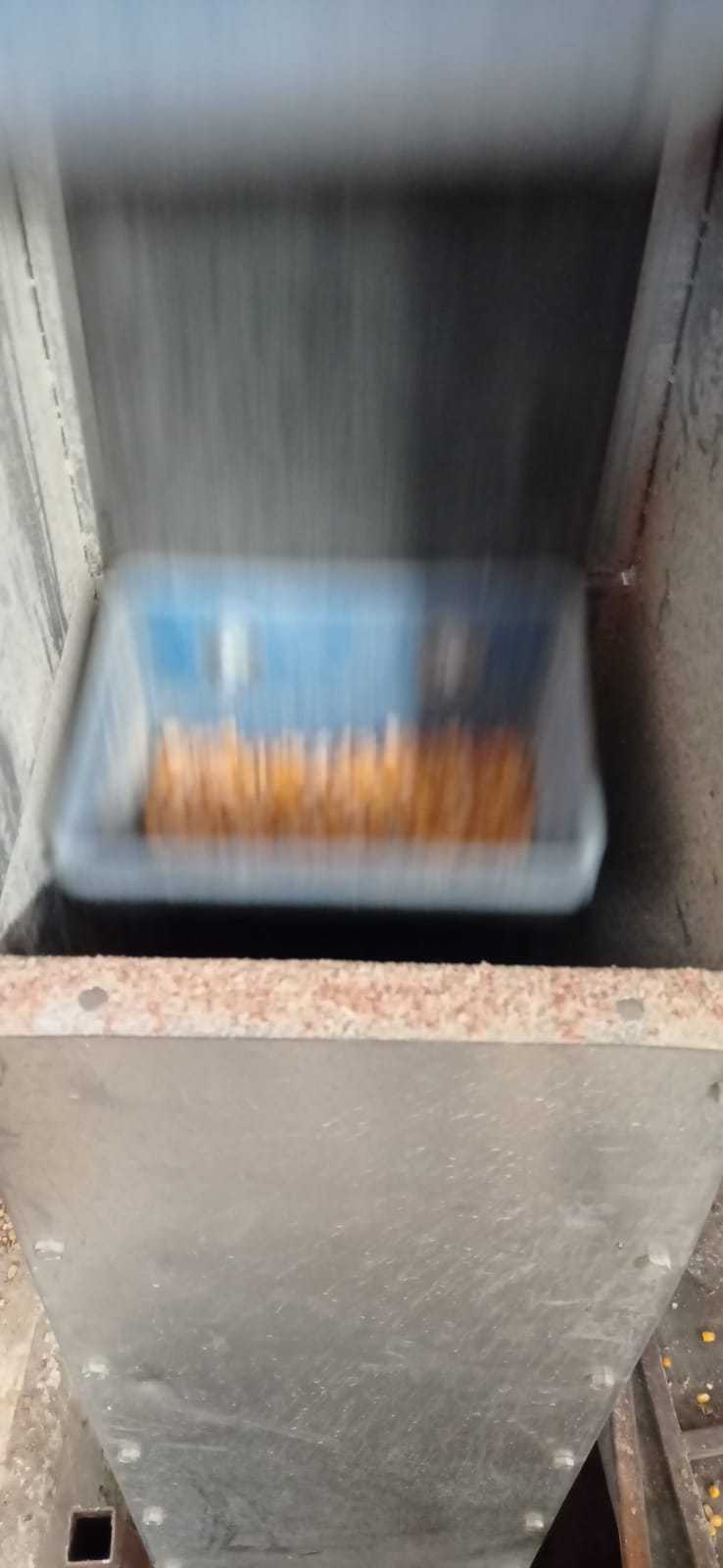 谷物干燥的重要性是什么?