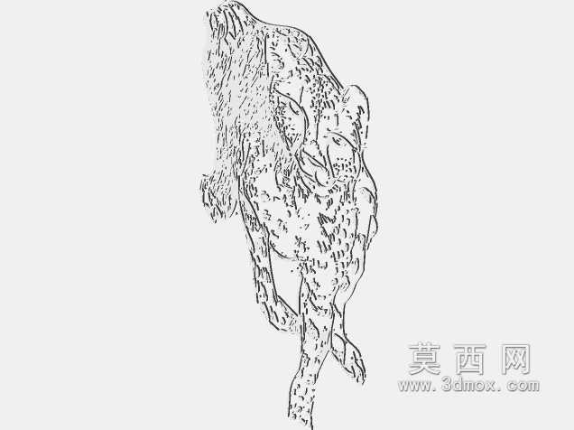 塞塔猫拉杜·屋大维·弗拉德·布拉索夫