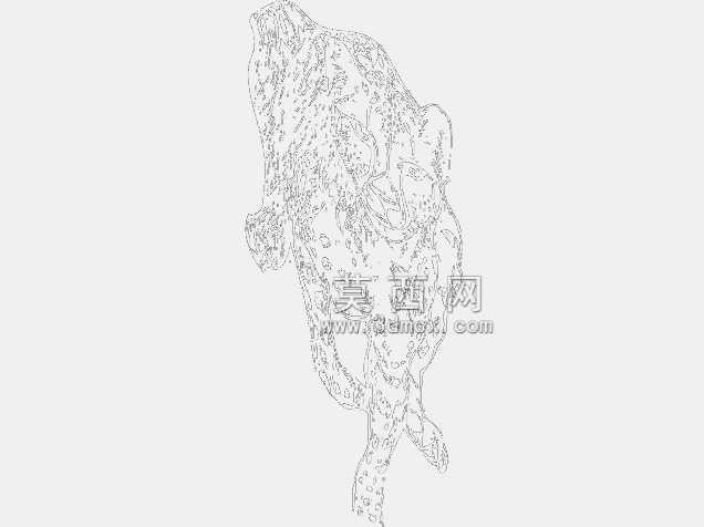 塞塔猫拉杜·屋大维·弗拉德·布拉索夫