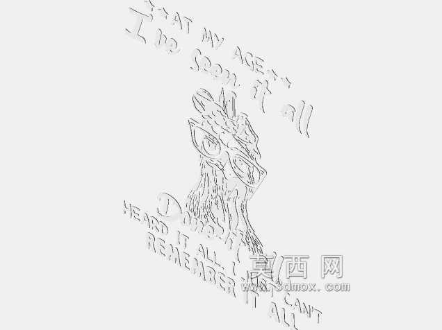 鸡肉-我都看过了