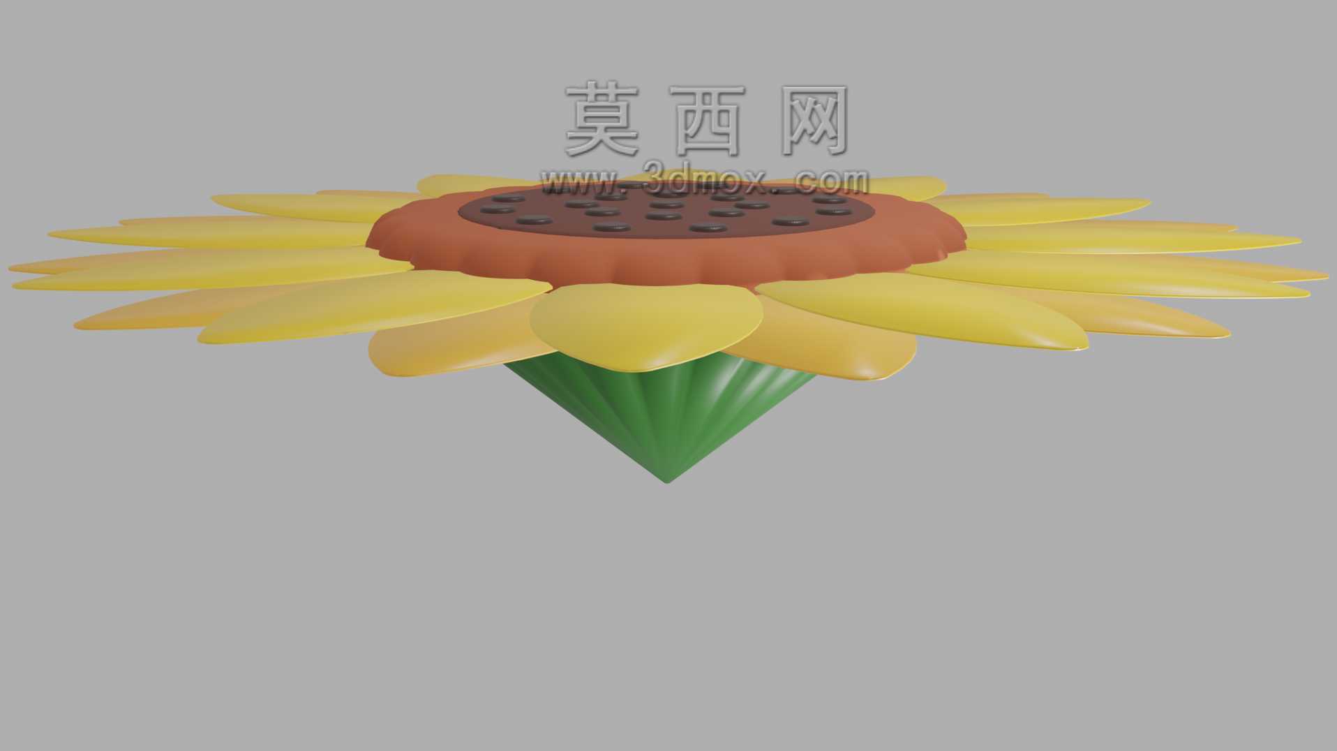 ���տ�