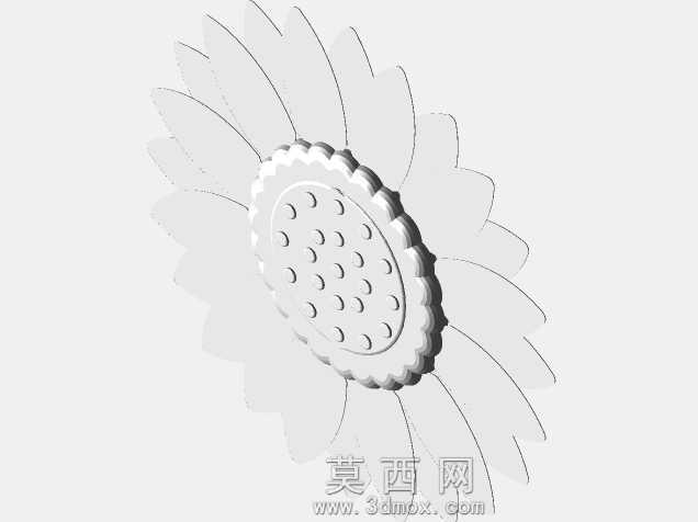 ���տ�