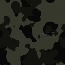 ֱ����ҹ������