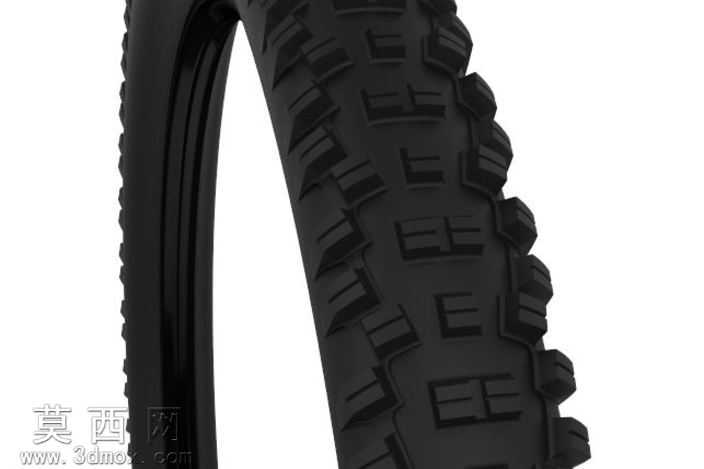 WTB����29x2.3�������г���̥
