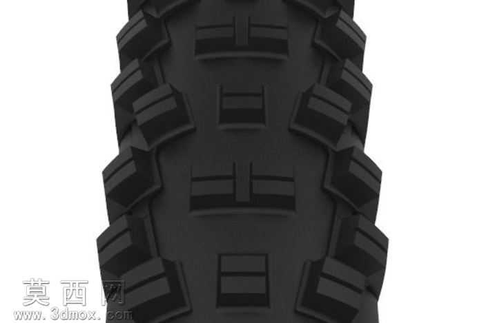 WTB����29x2.3�������г���̥
