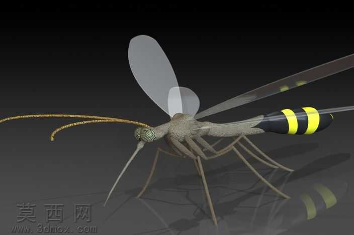 蚊子Giganticus