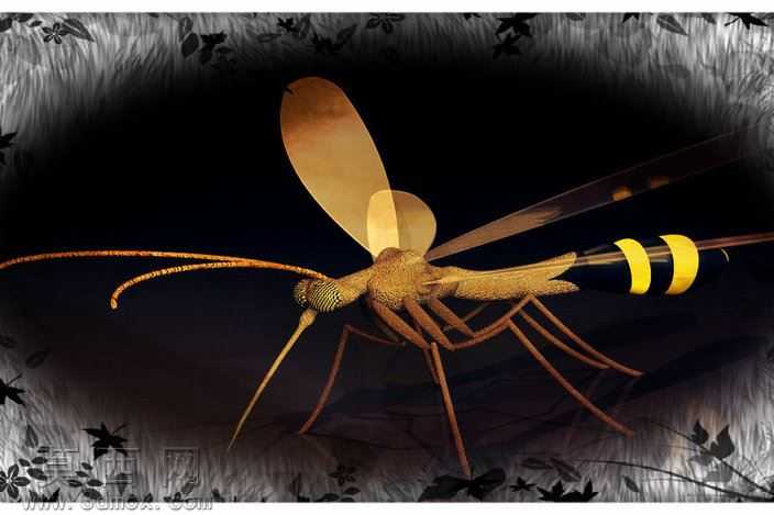蚊子Giganticus