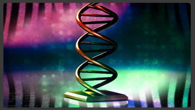 DNA