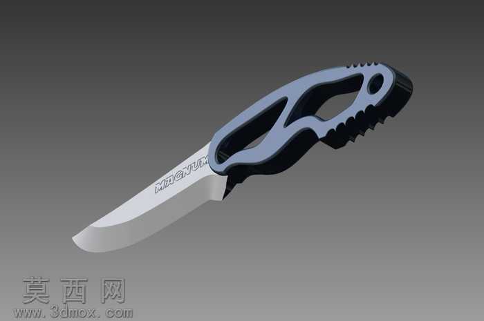 ��-magnum-����-flash
