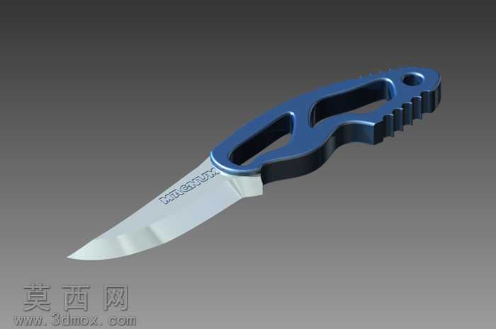 ��-magnum-����-flash
