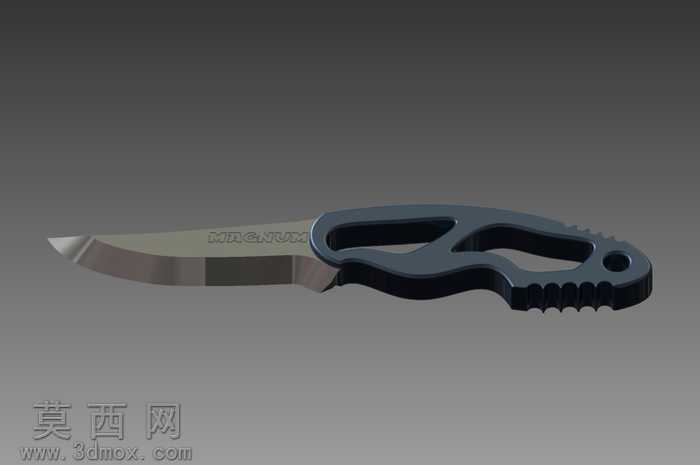 ��-magnum-����-flash
