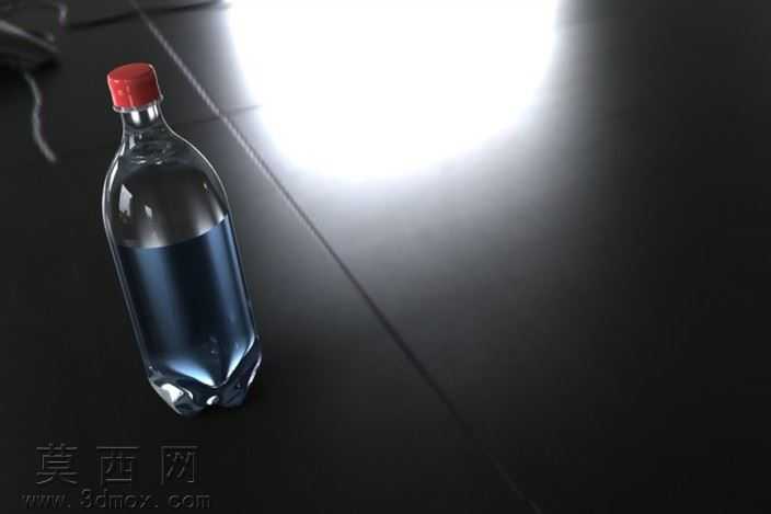 Bottle