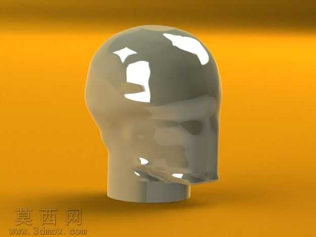 模型头