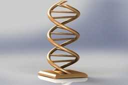 DNA
