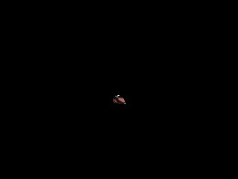 ��˹���������