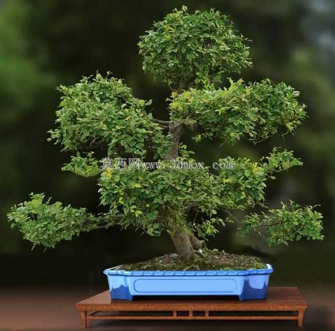 �辰������ɫ���ã�