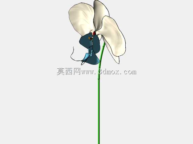 花金字塔