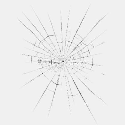 死鸽子不会飞