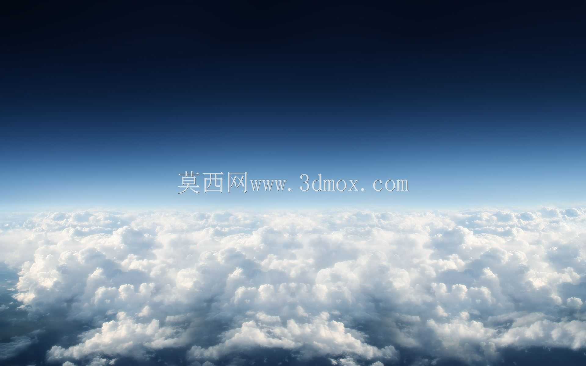 黑寡妇
