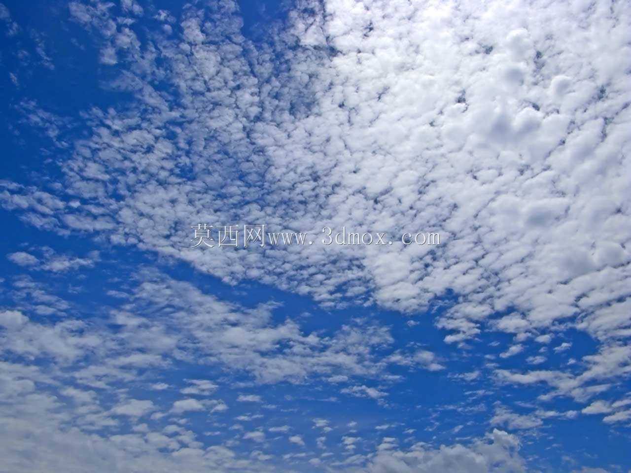 �ƻñ���