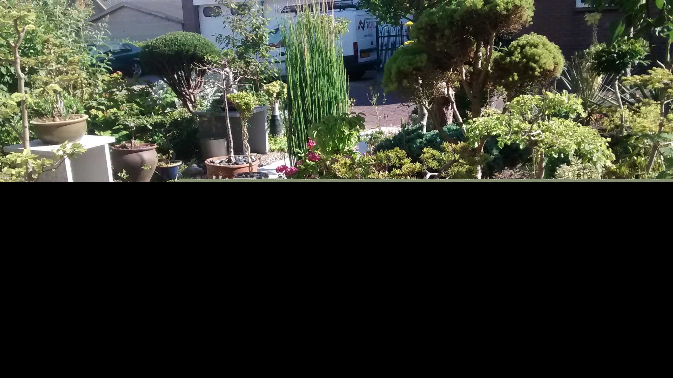 ���� ����������