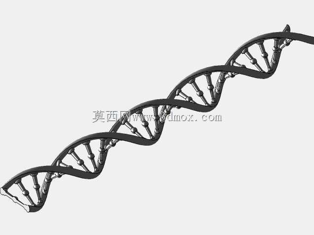 生命的螺旋