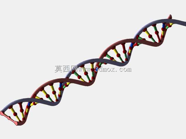 生命的螺旋