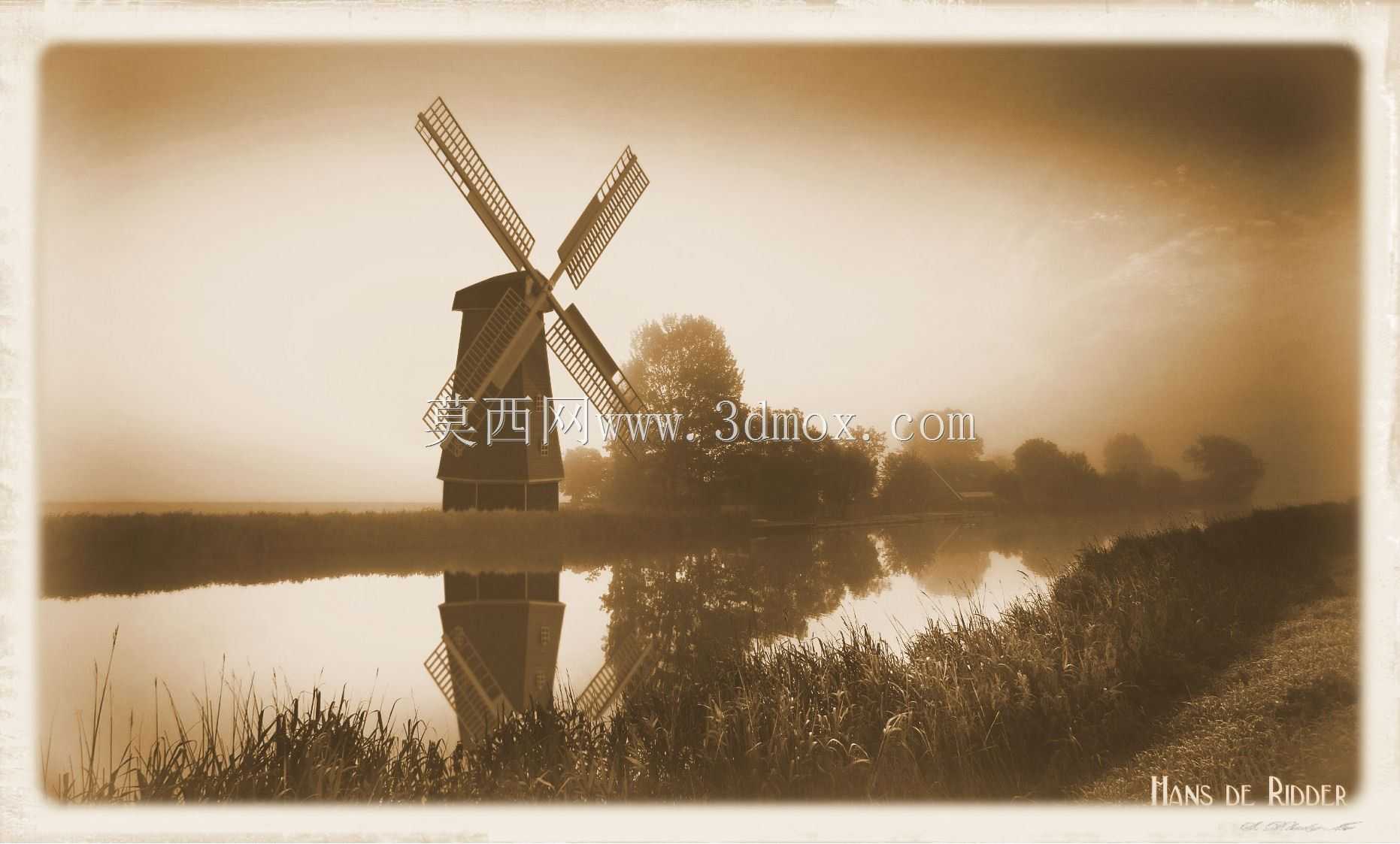 �糵��Ⱦ��11����Ⱦ������